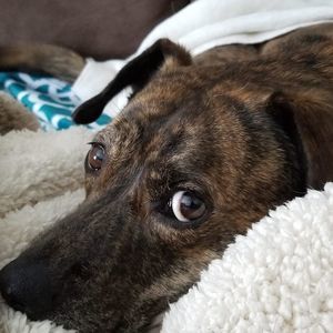 Meet your Posher, Bethany